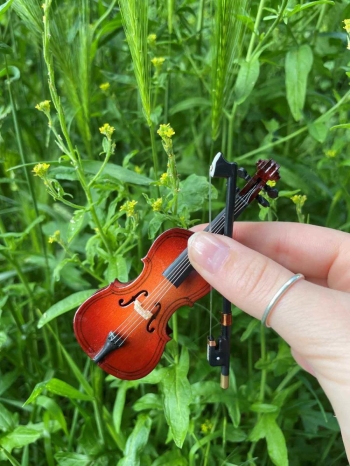 Cello mit Geigenkasten